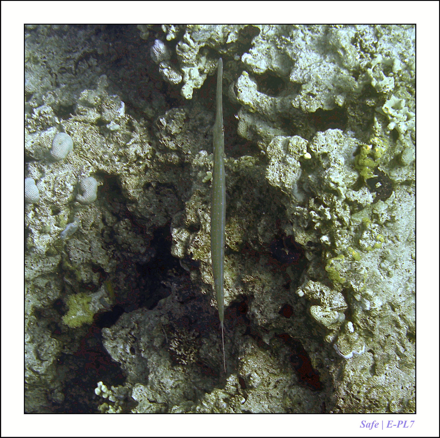 2023 - 03 - Charm El Sheikh - 09